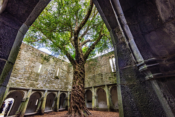 Muckross Friary