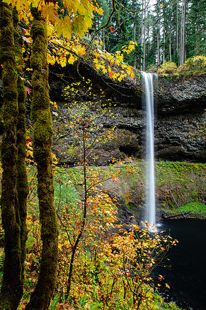 South Falls, Silver Falls State Park