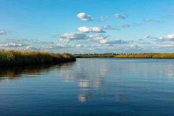 Ochlockonee River Wetlands