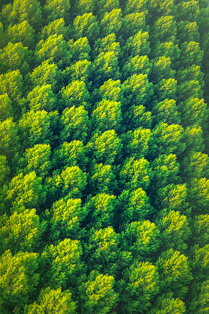 Balloon Ride over the Loire valley