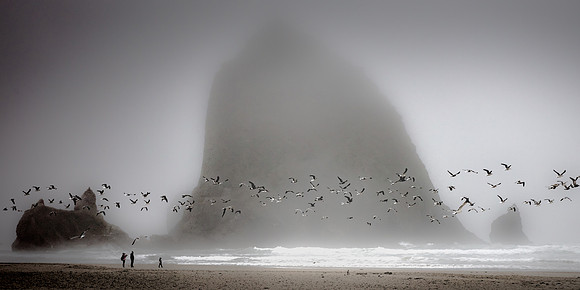 Fly-by; Cannon Beach