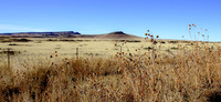 Raton Area Panorama, January 2011