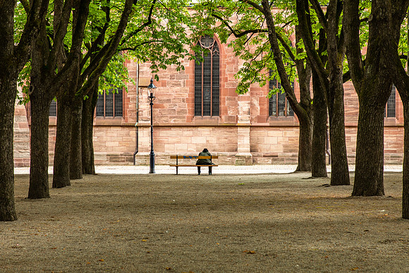 Basel Minster, Protestant Church