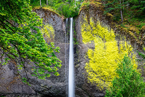 Latourell Falls, Oregon