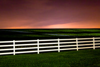 White Fence, Rose Sky, Green Grass; Great River Road, Louisiana