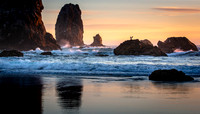 Cannon Beach