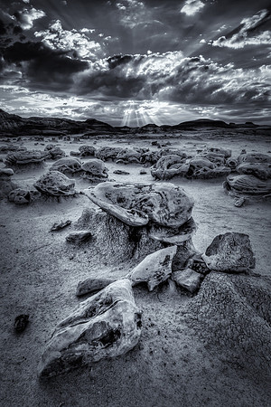 "Over Hard, Please"    Best B&W for 2019 (Annual Award by Houston Photographic Society)