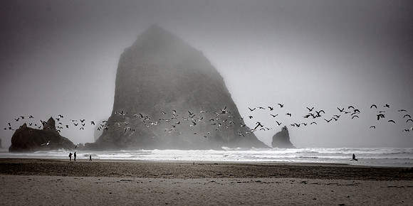 "A Fleeting Mist"    Honorable Mention B&W for 2019 (Annual Award by Houston Photographic Society)