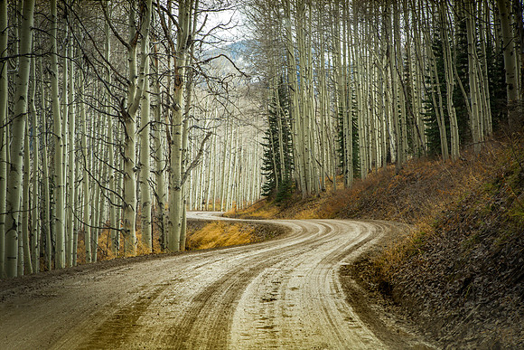 "When the Leaves Are Gone (#4)" Crested Butte Land Trust Fall 2019 Newsletter