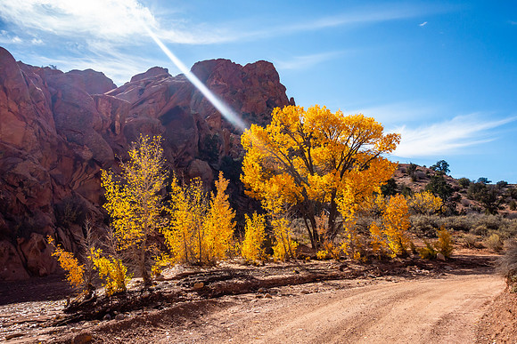 Upper Muley Twist Canyon Trail Road