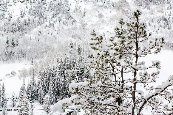 Winter Wonderland, Valley View