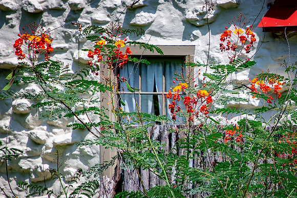Castroville, TX