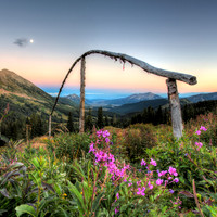Fireweed, Washington Gulch Valley View at Dusk (Square)