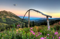 Fireweed, Washington Gulch Valley View at Dusk
