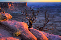 Green River Overlook, Canyonlands NP, Utah