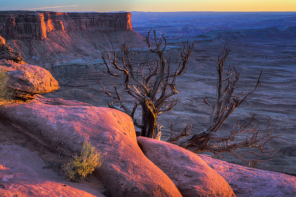 Green River Overlook, Canyonlands NP, Utah