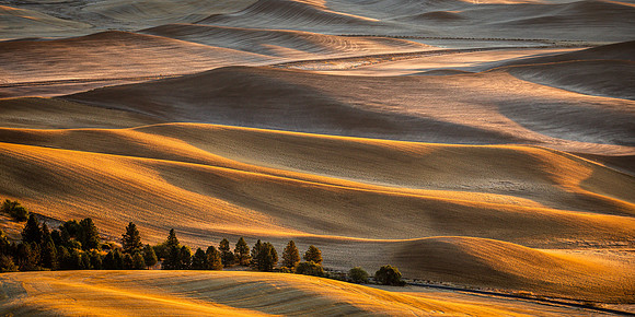 "After the Harvest" 2020 EPSON Int'l Pano Bronze Award