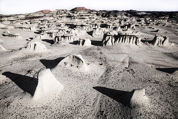 Bisti Wonderland