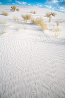 Single Track Sand, White Sands National Monument