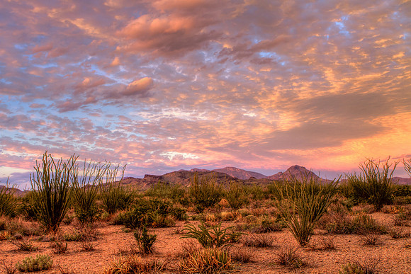 Soft Light, Dusk, Big Bend NP