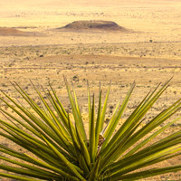 Yucca's View of the Valley, Davis Mtn SP, Texas (Square)