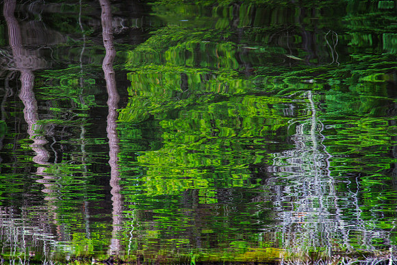 Thousand Island Lake, Michigan UP