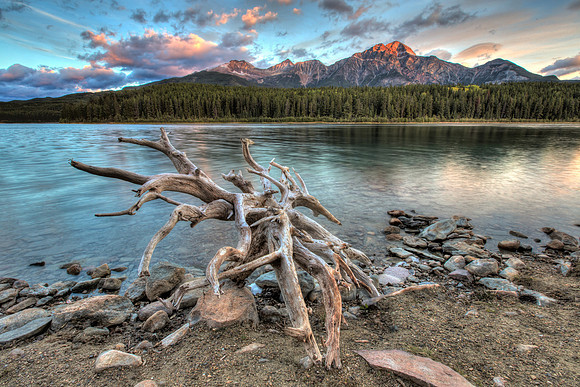 Patricia Lake