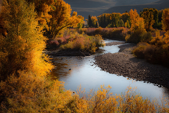 The Gunnison