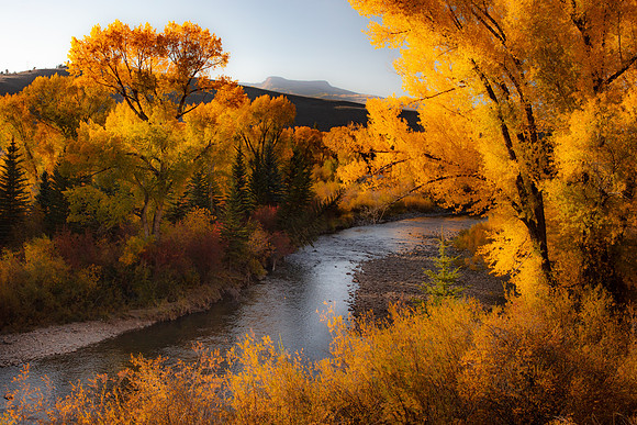 The Gunnison