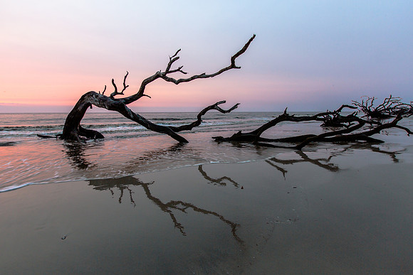 Continuity of Form, Jekyll Island Georgia
