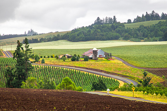 Oregon Farmland, Outside Silverton