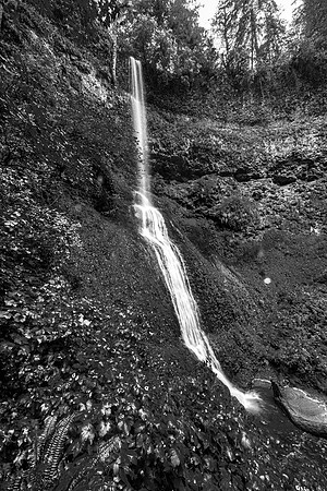 Winter Falls