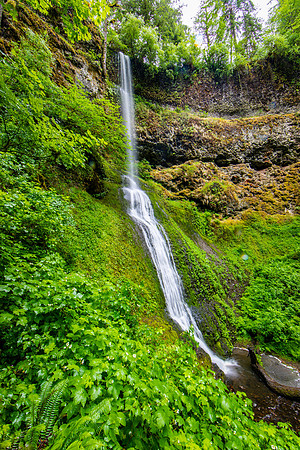 Winter Falls