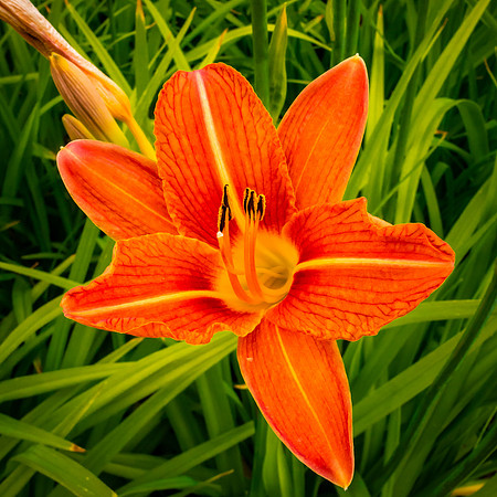 Floral Garden at Bergstrom Tasting House