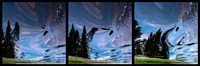 Reflections in the Wake, Triptych