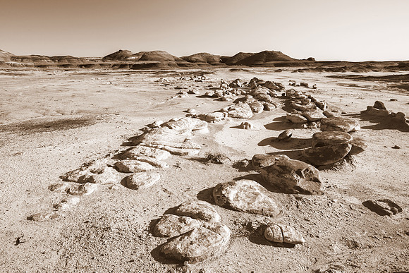 Bisti Badlands Desert Composition