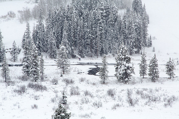 Nordic Skiiers, Winter Wonderland, Slate River Valley