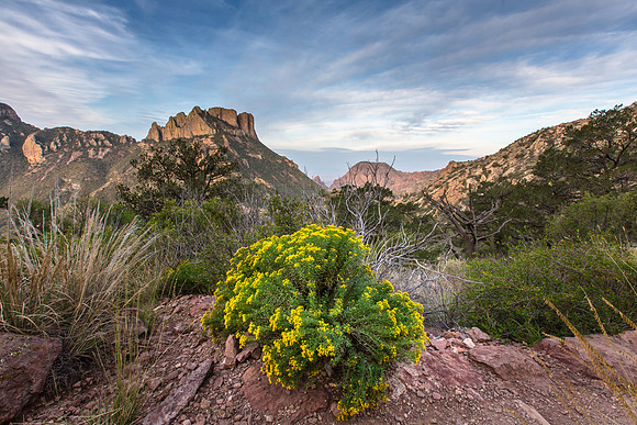 View from the Lost Mines Trail, Big Bend NP, Texas