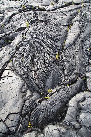Patterns in the Flow, Old Lava, Hawaii