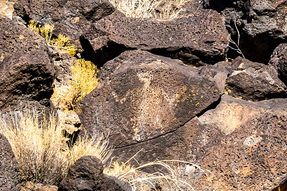 Petroglyph Nat'l Monument, Albuquerque