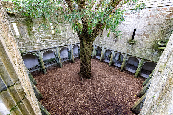 Muckross Friary