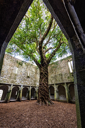 Muckross Friary