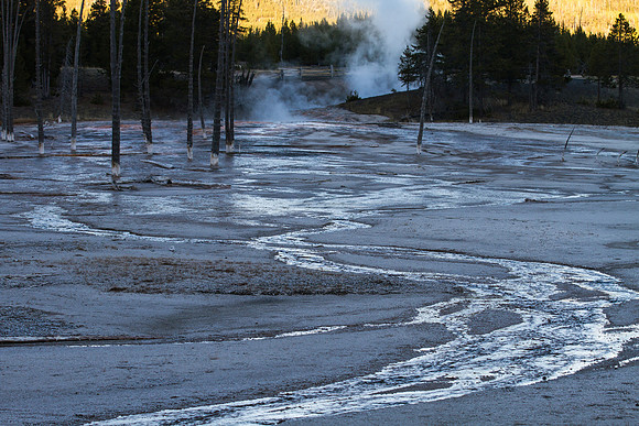 Geothermal Creek, Geyser Overflow, Yellowstone NP