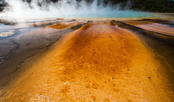 Outflow, Grand Prismatic Spring, Yellowstone National Park