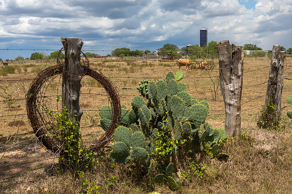 Texas Farm