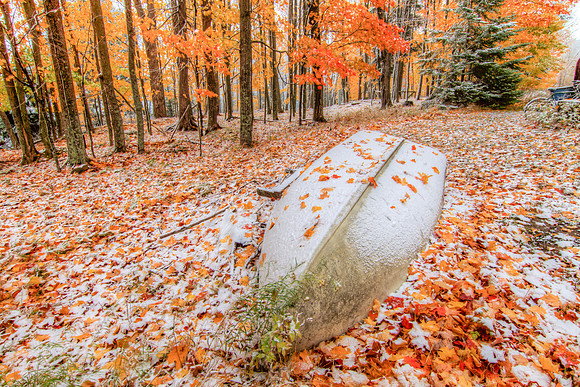 Transition of the Seasons (Landscape), Michigan UP