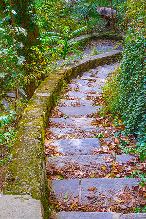 Stairs to the River, Wissahickon Park, Philadelphia