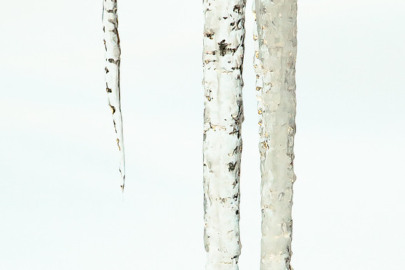 Study in White Ice
