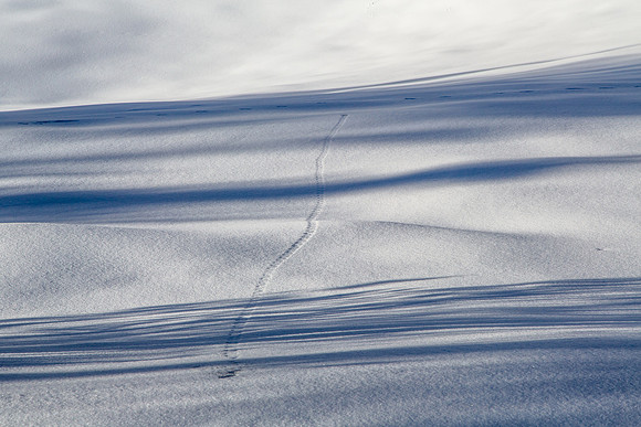 Trail of Last Night's Cigar, Colorado