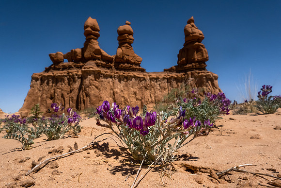Goblin Valley, Utah